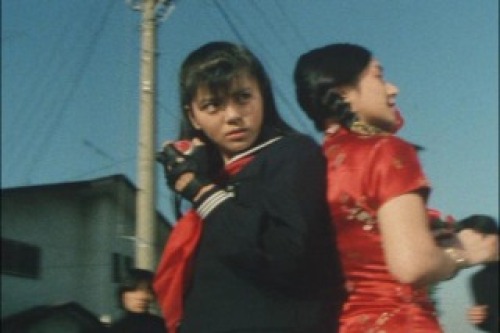 PDVD_024.jpg