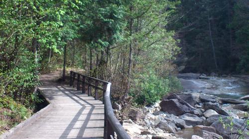 DSC_0427[1].JPG