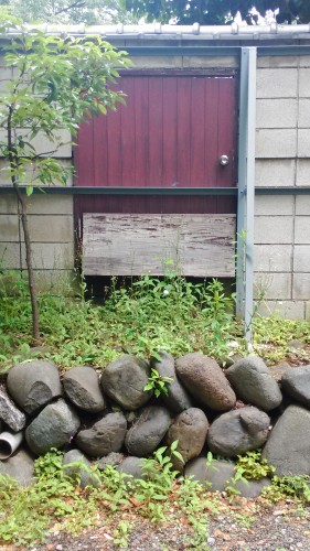P_20160528_113224.jpg