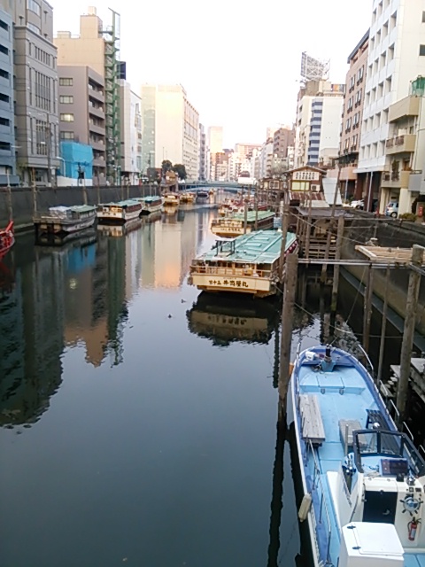 隅田川沿いを走る | けんぶる日記 - 楽天ブログ