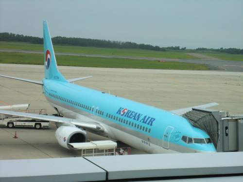 CIMG1122　新潟空港にて私たちが乗るKAL機.JPG