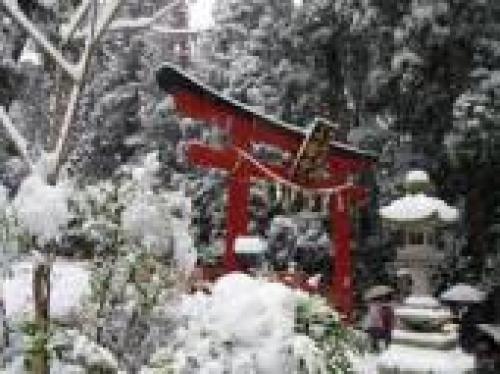 雪の大崎八幡宮.jpg