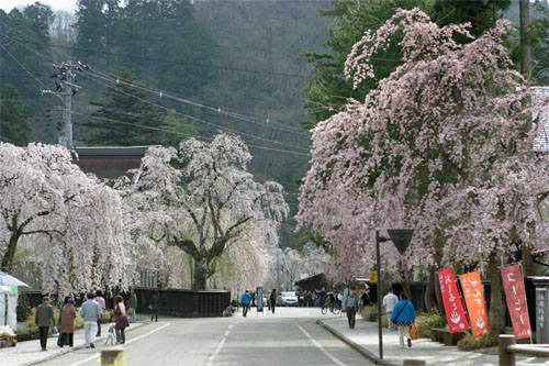 角館2.jpg