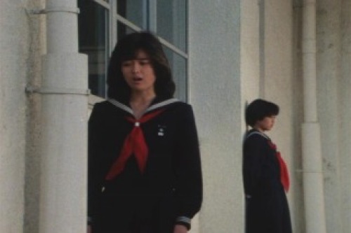 PDVD_007.jpg