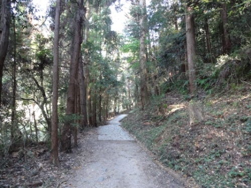 奈良 大神神社 2014.11.15  (13).JPG