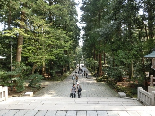 弥彦神社参道.jpg