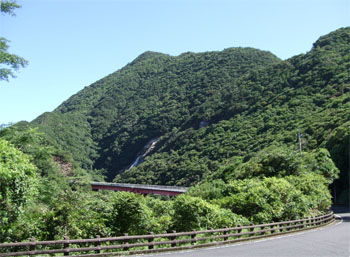 屋久島99.jpg