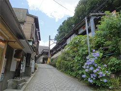 箱根57.jpg