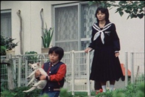 PDVD_046.jpg