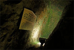 金山20.jpg