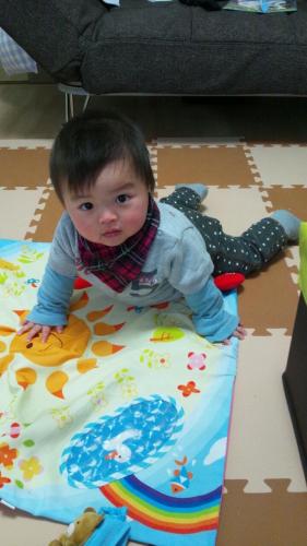 20120312_075012.jpg
