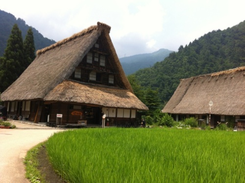 IMG_3364五箇村.jpg