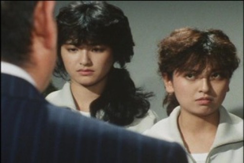 PDVD_009.jpg