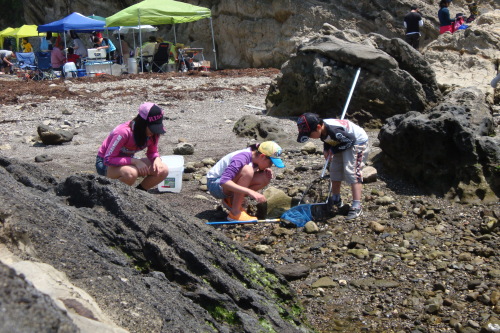 2012 04 29_0212.JPG