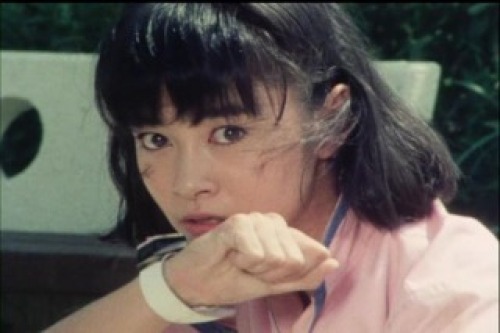 PDVD_009.jpg