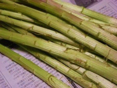 DSCN7185 (300x225).jpg