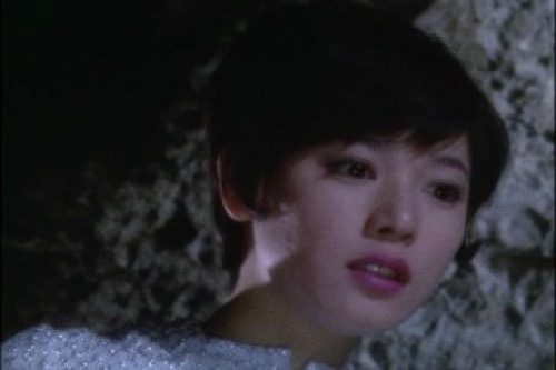 PDVD_004.jpg