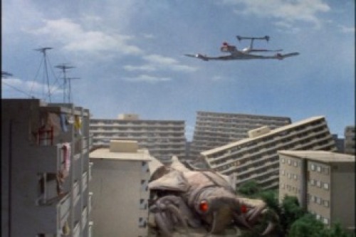 PDVD_018.jpg