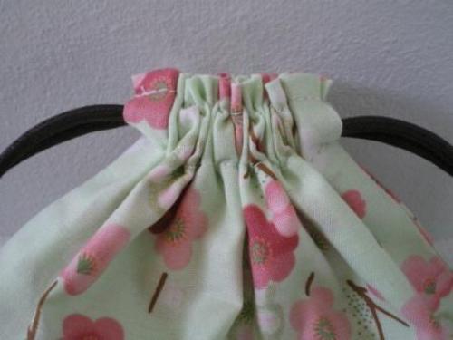 まんまるきんちゃく　17センチ　３.JPG