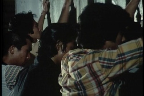 PDVD_049.jpg