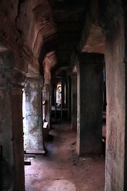 19 09 11 5297 Cambodia 遺跡巡り タ プロム寺院 １１４ 勝手放浪写真のブログ 楽天ブログ