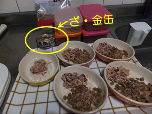 201212151_2.jpg