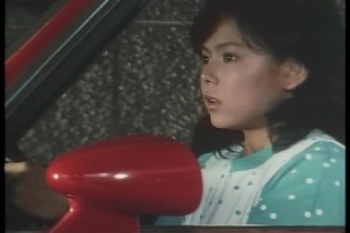 PDVD_015.jpg