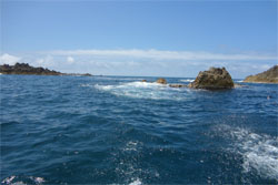 尖閣湾19.jpg
