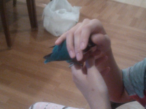 6 隠れた一面.JPG