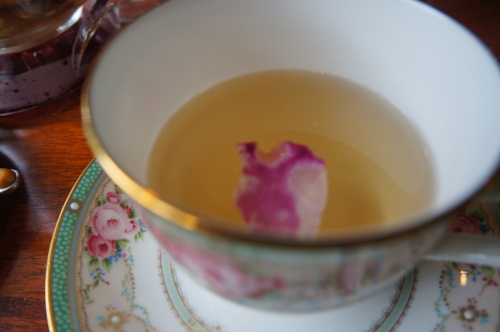 DSC03073.JPG