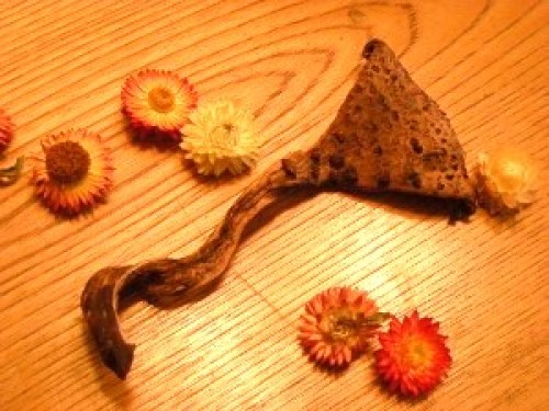 DSCN2197 (300x225).jpg