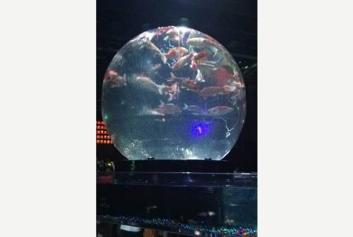 20140720 08アートアクアリウム.jpg