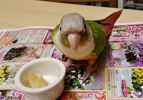 1400160655804 (800x561).jpg