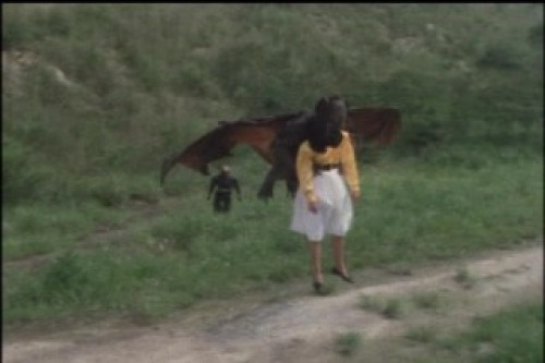 PDVD_013.jpg