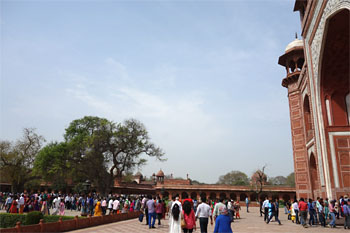 インド367.jpg