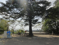 霧島31.jpg