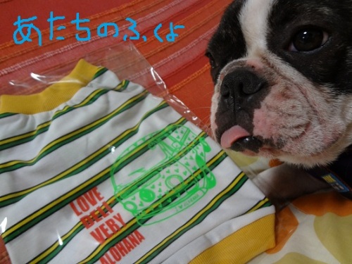 お土産1.JPG