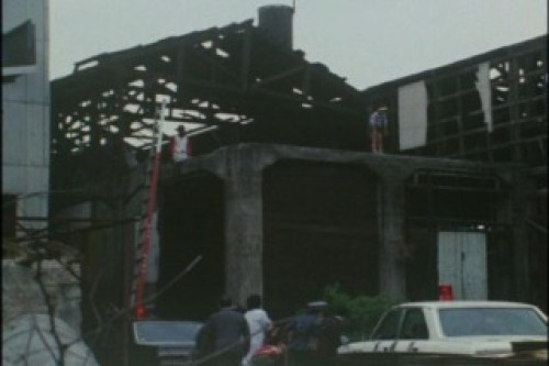 PDVD_013.jpg
