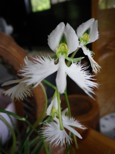 湯の森くす (3).JPG