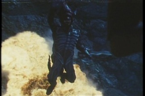 PDVD_028.jpg