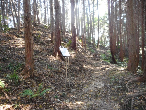 上赤坂城二の木戸 (2).JPG