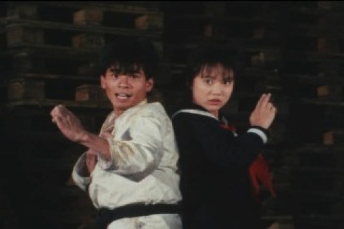 PDVD_037.jpg