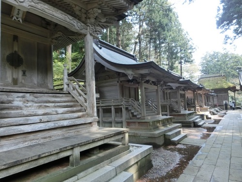 弥彦神社.jpg