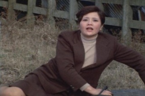 PDVD_022.jpg