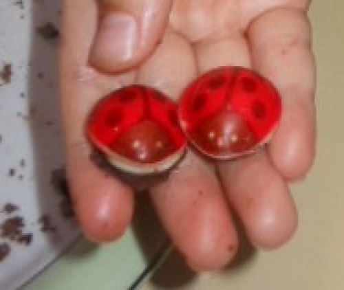 DSCN5354.JPG