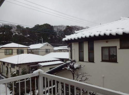 朝の雪屋根.jpg