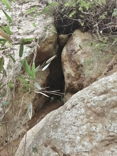 IMG_5600 (480x640).jpg