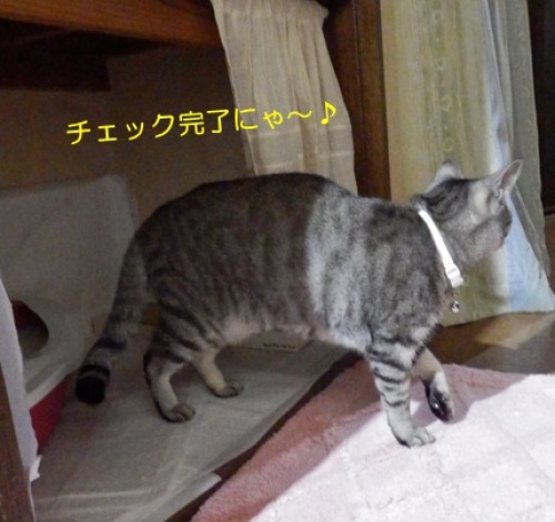 20151110_4.jpg