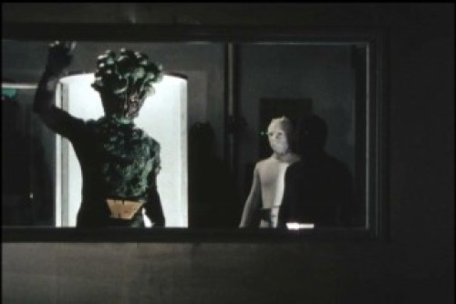 PDVD_111.jpg