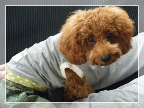 DSCF4883.JPG